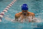 Swimming vs CGA  Wheaton College Swimming & Diving vs Coast Guard Academy. - Photo By: KEITH NORDSTROM : Wheaton, Swimming, diving